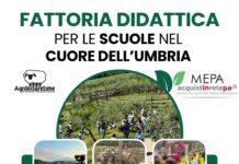 Care scole, fate passà na bella giornata in fattoria a li ragazzini da Agrileisuretime Fattoria didattica Umbria