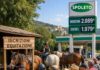 Lu caro benzina: Spoletini scopreno li cavalli e la bicicletta Benzina alle stelle Spoleto